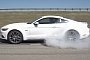 2015 Ford Mustang Fastback to Start Production on July 14th, OK to Buy on September 9th