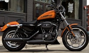 2015 Harley-Davidson 883 Roadster, Sense and Simplicity
