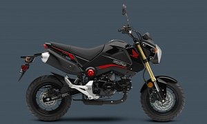 2015 Honda Grom Shows Up in Four Sweet Colors