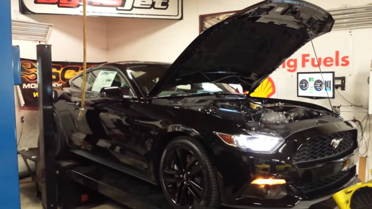 2015 Ford Mustang EcoBoost Dyno Run