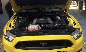 2015 Mustang GT Engine Bay Exposed