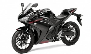 2015 Yamaha YZF-R3 First Official Pictures Show a Future Winner