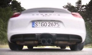 2016 Porsche Boxster Launches So Hard It Wiggles Its Exhaust like a Tail