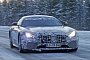 2017 Mercedes-AMG GT-R Shares More Skin During Winter Testing