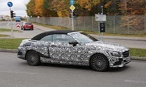 2017 Mercedes-Benz C-Class Cabriolet (A205) Leaves Roof Camouflage at Home