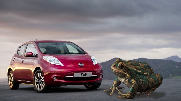 Nissan Leaf toad