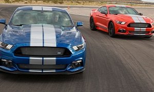 2017 Shelby GTE Is a Slightly Whipped Mustang, Package Starts at $17,999