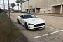 2018 Ford Mustang GT Shows Up in New Orleans, Its Face Still Splits Opinions