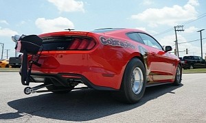 2018 Mustang 50th Anniversary Cobra Jet Hits the Market, Cheaper Than Expected