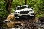 2019 BMW X5 Shown on Location Once More