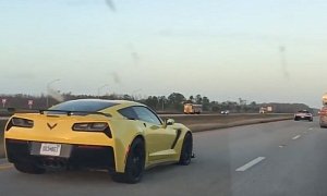 2019 Chevrolet Corvette ZR1s Show Up on Alligator Alley, Fail to Blend In
