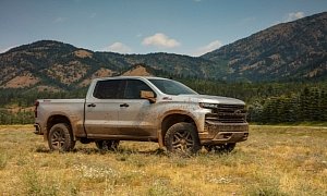 2019 Chevrolet Silverado Work Truck Priced at $29,795