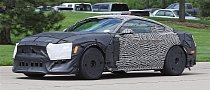 2019 Ford Mustang GT500 Spied In Detroit With Massive Tires
