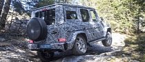 2019 Mercedes-Benz G-Class Previewed Doing The Off-Road Stuff, Comes With G-Mode