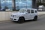2019 Mercedes-Benz G-Class Technically Goes Off-Road Near Nurburgring