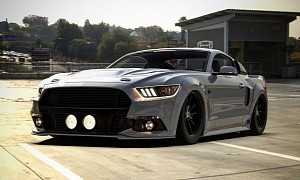 2020 Ford Mustang Shelby GT500 "Eleanor" Looks Like a Wild Pony