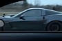 2020 Ford Mustang Shelby GT500 Races Modded Corvette Z06, Somebody Gets Trampled