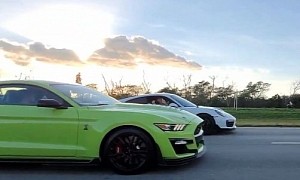 2020 Ford Mustang Shelby GT500 Races Porsche 911 Turbo S, the Gap Is Humongous