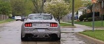 2020 Ford Mustang Shelby GT500 Spied Testing Dual-Clutch Transmission?