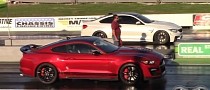 2020 Shelby GT500 Battles BMW M4, 6 Series and Mustangs, Leaves Almost Unscathed