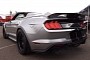 2021 Shelby Super Snake Speedster Walkaround Reveals Menacing Exhaust Note