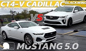 2024 Cadillac CT4-V Blackwing Drags 2024 Ford Mustang GT, Somebody Gets Whooped