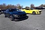 2024 Ford Mustang GT 'First Timer' Drags S650 Dark Horse, Results Are Quite Surprising