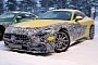 2024 Mercedes-AMG GT Spied Resting in the Snow Partially Untucked