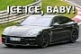 2024 Porsche Panamera Caught Tearing Up the 'Ring, It Ain't No Lord in Disguise