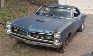 29 Years in a Barn: 1967 Pontiac GTO Survived the Test of Time, Mice, and Rust Invasion