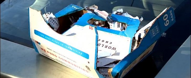 Three bears broke into a Toyota Prius in North Carolina to get to a box of chocolate bars