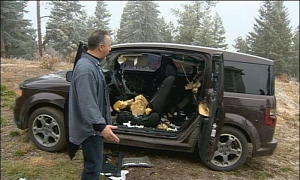 3 Bears Destroy a Parked Honda in Colorado <span>· Video</span>