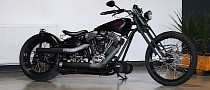 $42K “Gooseneck” Motorcycle Really Wants To Be a Custom Harley-Davidson