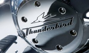 5 Days Left to Order Your Triumph Thunderbird