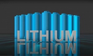 Despite $700 Million Loan, Rare Plant Hinders Progress of Lithium Facility in Nevada