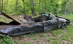 A 1964 Chevrolet Impala Abandoned in a Forest Is the Most Depressing Thing in a Long Time