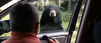 A Bear That Used to Be a Doorman Opens Car's Door, Scares Everyone Inside