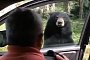 A Bear That Used to Be a Doorman Opens Car's Door, Scares Everyone Inside