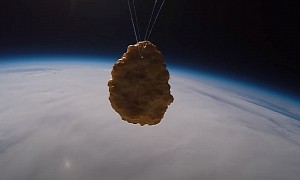 A Chicken Nugget Was Launched into Space, Because Why Not