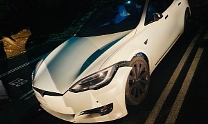 A Model S in Cheetah Launch Mode Is Too Much for Parking Valet on Joyride