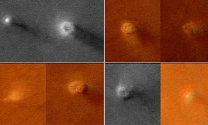 A Pack of Eight Dust Devils Dance the Tornado Dance on the Surface of Mars