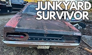 A Rough 1972 Plymouth Road Runner Is the Best Thing in This Junkyard