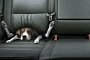 A Simple Guide on How to Travel Safely With Your Pet
