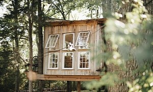 A Tiny Home With Giant Windows, the Fox House Is Still Incredibly Unique