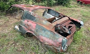 Abandoned 1968 Ford Mustang Had a Tree Growing in the Engine Bay, Body Cut in Half