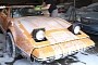 Abandoned 1975 Bricklin SV-1 Gets First Wash in Years, Becomes Rare Survivor