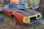Abandoned 1979 Pontiac Trans Am Shows the Ugly Face of Humanity