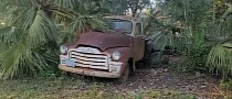 Abandoned Chevrolet Trucks Found Hiding Under Palm Trees in Florida, They Need TLC
