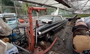 Abandoned Farm Is Packed With Classic Cars, Rare Gems Included