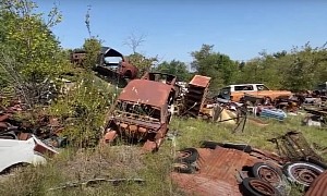 Abandoned Forest Junkyard Is Home to Hundreds of Classic Cars, Rare Gems Included